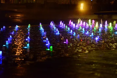 DSC_0721 (Large).JPG